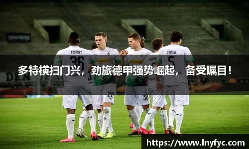 博鱼.boyu体育