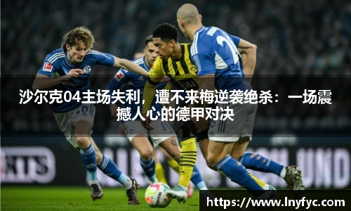 博鱼.体育官网