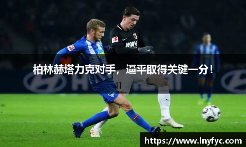 博鱼中国官方入口