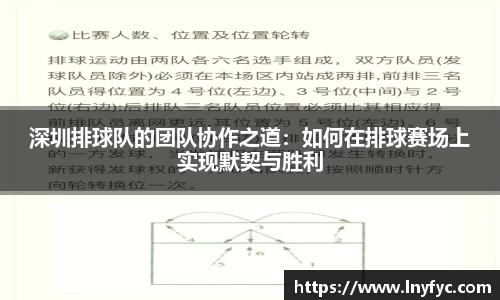 深圳排球队的团队协作之道：如何在排球赛场上实现默契与胜利