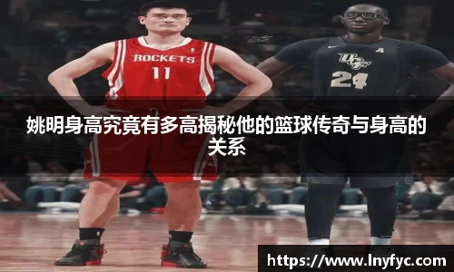 姚明身高究竟有多高揭秘他的篮球传奇与身高的关系