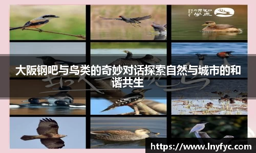 大阪钢吧与鸟类的奇妙对话探索自然与城市的和谐共生