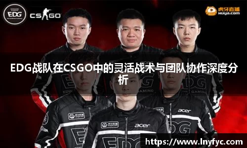 EDG战队在CSGO中的灵活战术与团队协作深度分析